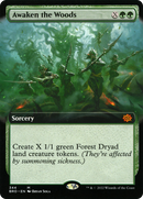 Awaken the Woods (Extended Art) (BRO-344) [The Brothers' War]
