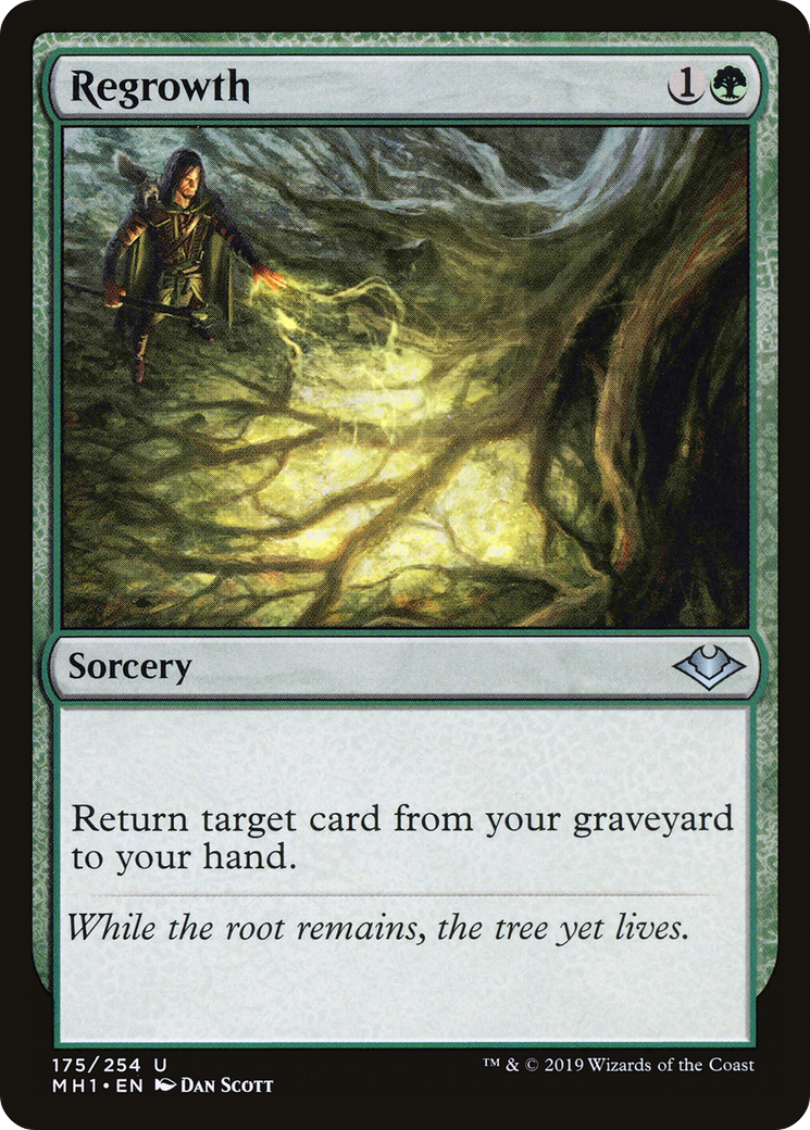 Regrowth (MH1-175) [Modern Horizons] Foil