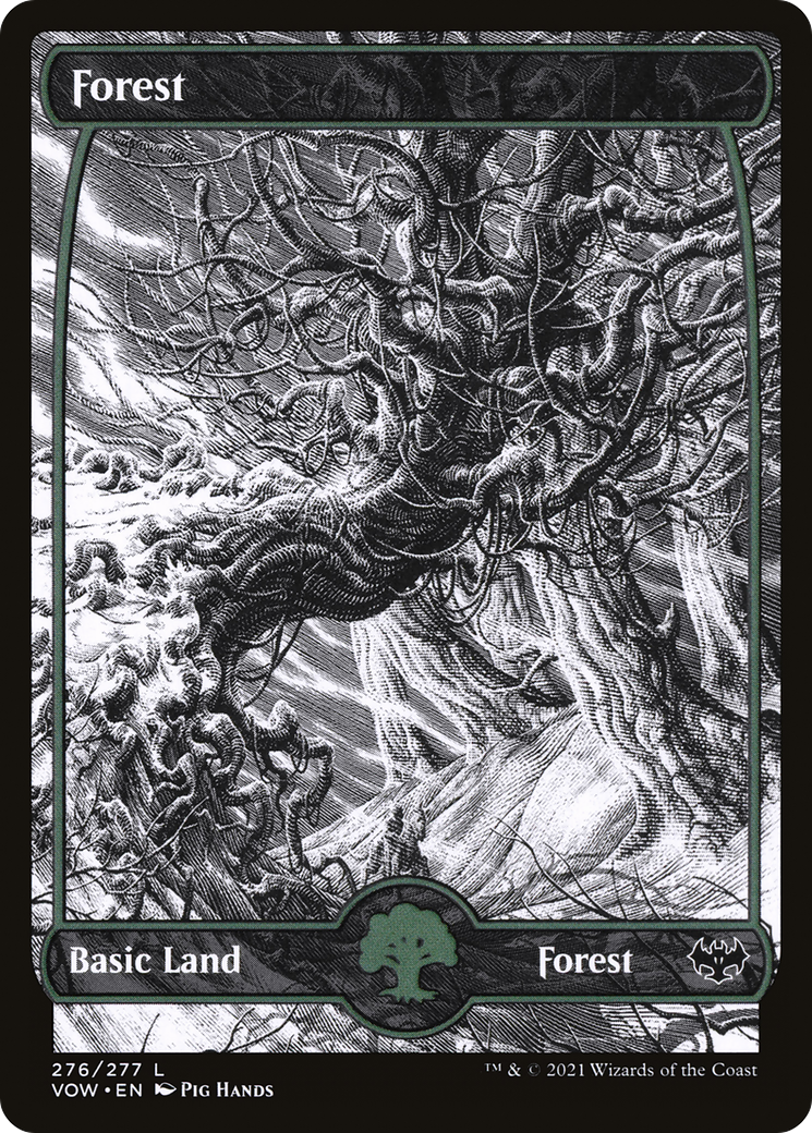 Forest (VOW-276) [Innistrad: Crimson Vow]: (Showcase) Foil