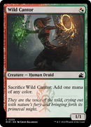 Wild Cantor (RVR-239) [Ravnica Remastered] Foil