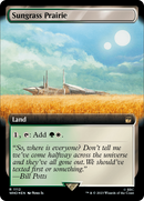 Sungrass Prairie (WHO-1112) [Doctor Who]: (Extended Art) Foil