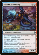 Shrewd Hatchling (DDJ-008) [Duel Decks: Izzet vs. Golgari]