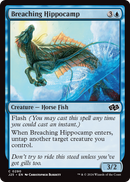 Breaching Hippocamp (J25-290) [Foundations Jumpstart]