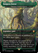 Fangorn Forest - Yavimaya, Cradle of Growth (LTC-377) [Tales of Middle-earth Commander] / Fangorn Forest (Borderless)