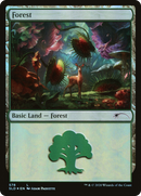 Forest (SLD-578) [Secret Lair Drop] Foil