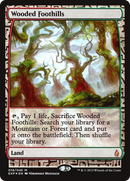 Wooded Foothills (EXP-019) [Zendikar Expeditions] Foil