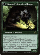 Sage of Ancient Lore // Werewolf of Ancient Hunger (PRE-225S) [Shadows over Innistrad Promos]: (Double Faced Transform) Foil